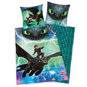 Dragons Bettwäsche – Hicks & Ohnezahn